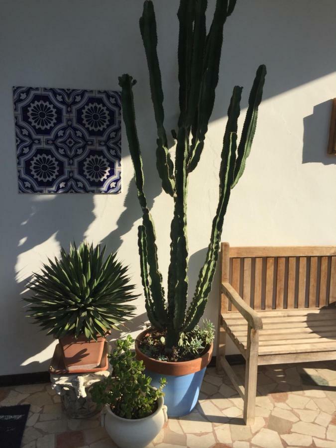 B&B La Villa Mediterranea Passirano Luaran gambar
